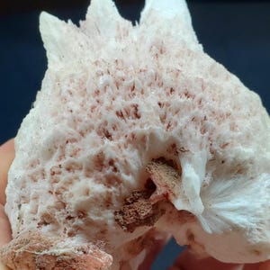 Okenit Specimen | Fluoreszierende Mineralien | Wohnkultur | Mineralprobe | Kohle wie Specimen | Edelsteine | Mineralien | Mineraliensammlung |