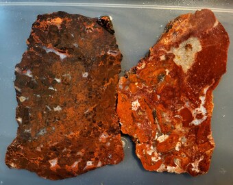 Red Dot Bot & Beef Breccia Agate Slabs (Cady Mountain)