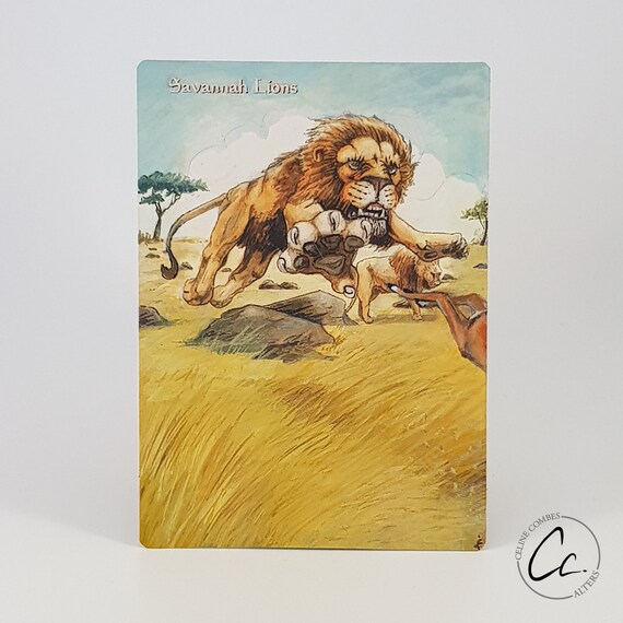 リバイズド Savannah 英語版 状態HP mtg $_57.JPG?set_id=880000500F