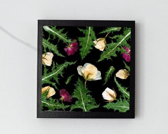 Pressed Prickly Sowthistle Leaves and White Roses Print, Moody Aesthetic, Dark Academia Decor, Dark Mori, Dark Flower Art, Wabi Sabi Decor