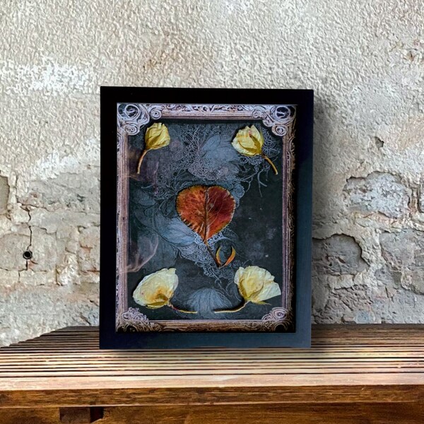 Real Pressed Bradford Pear Leaf and White Roses, Pressed Flower Frame, Oshibana, Dark Academia Decor, Dark Mori, Dark Flower Art, Nu Goth