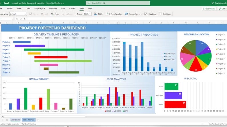Project Portfolio Dashboard Template Excel Spreadsheet - Etsy