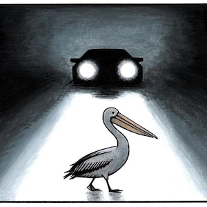 Cruce de pelícanos (impresión de arte)