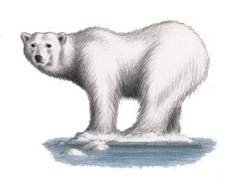 Polar Bear Climate Crisis (Original Artwork)