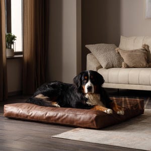 May include: A brown leather dog bed with a black and white Bernese Mountain Dog lying on it. The dog bed is on a wooden floor with a light brown rug in the foreground.