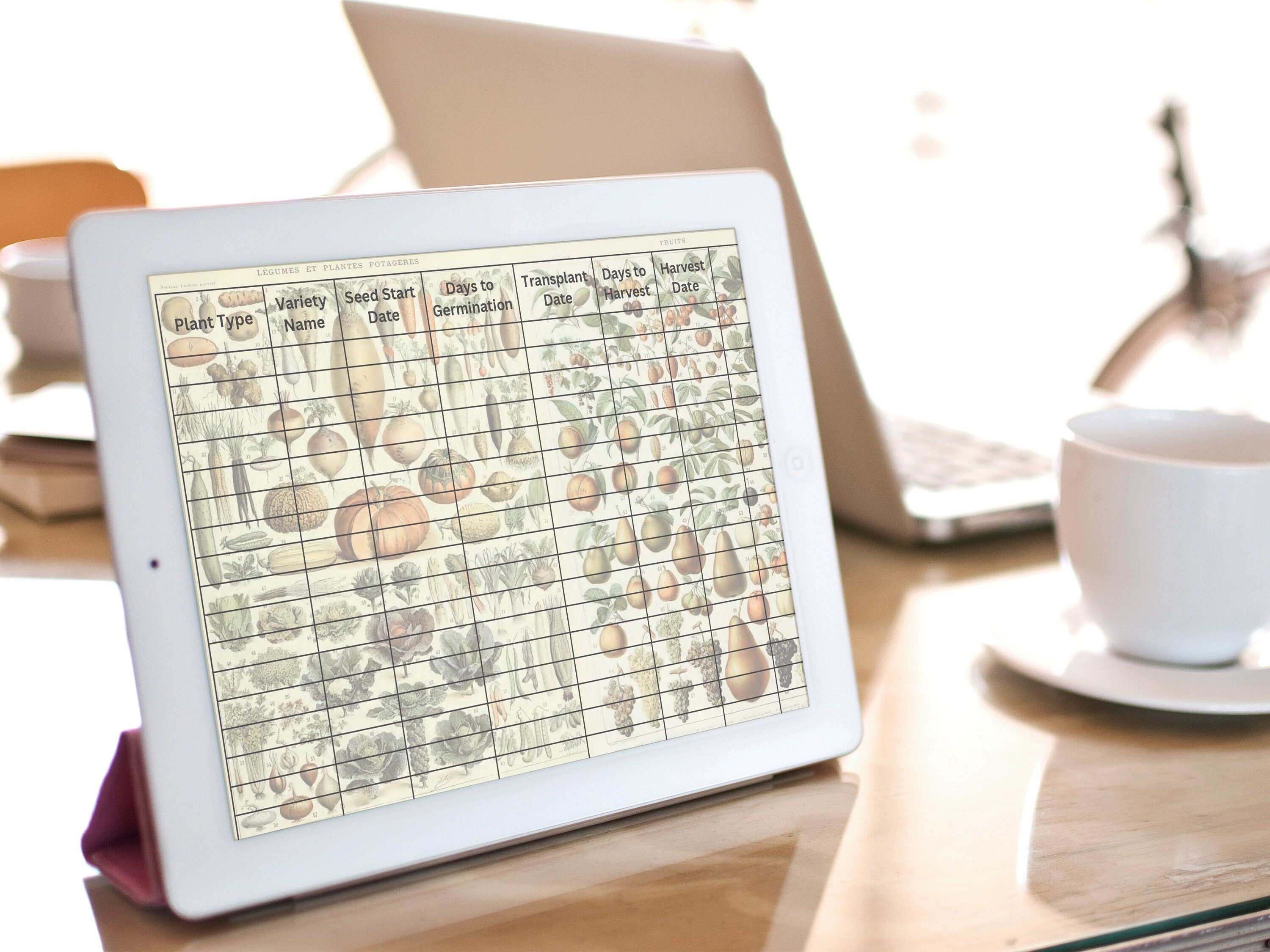 Dominate Battle Cats: Master The Seed Tracker Now! - la18g7a