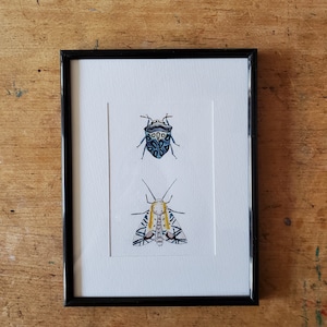 Original Aquarell Picasso Käfer / Picasso Motte Illustration Malerei Miniatur Kunst Insekt Aquarell Geschenk