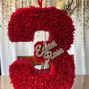 Custom Number Piñata