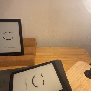 E-reader Tasche NinjaScape Bild 2