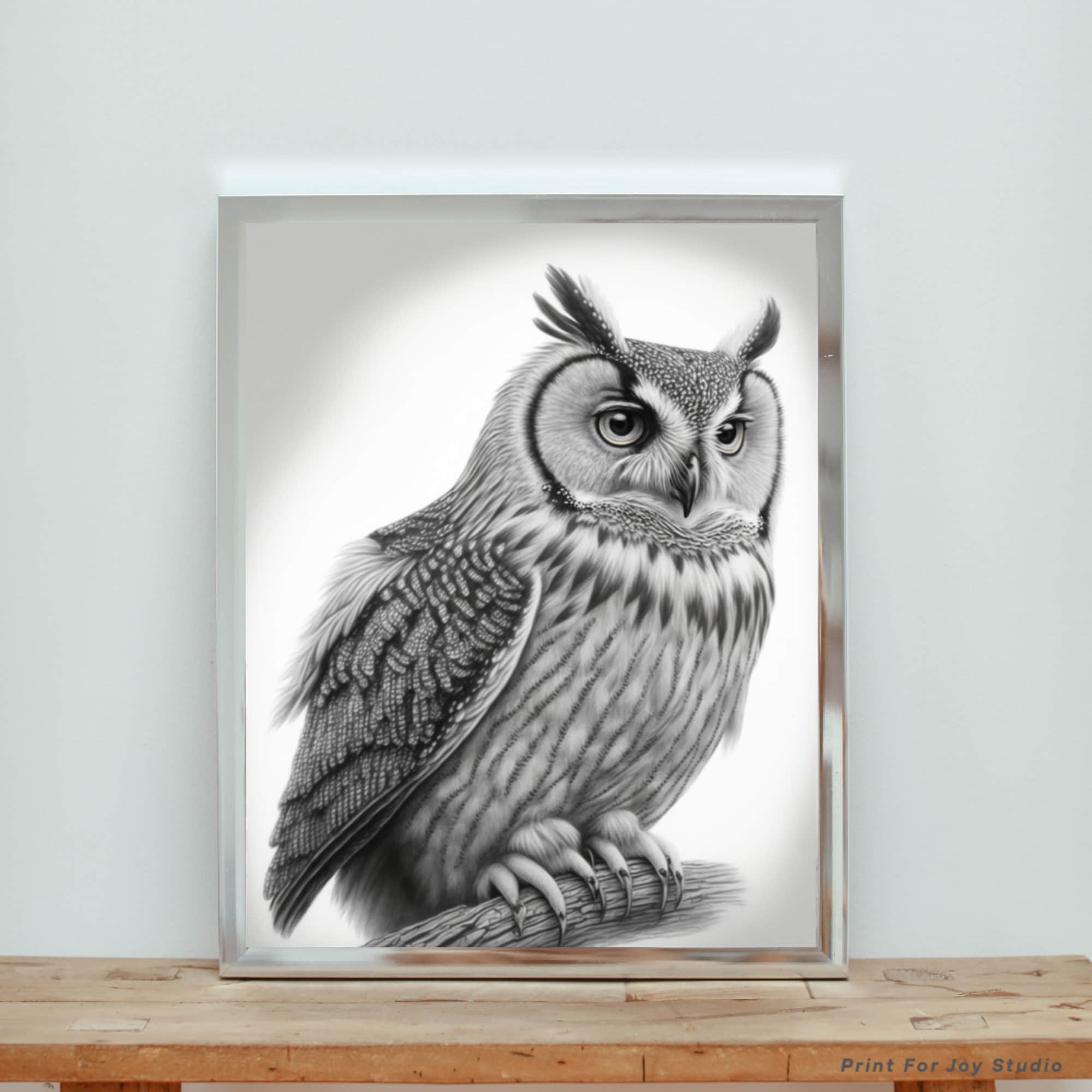 Realistic Owl Drawing With Pencil