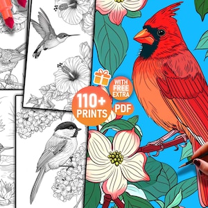 110 páginas para colorear de aves para adultos, hojas para colorear de aves, dibujos para colorear para adultos, animales del bosque, cardenal, búho, colorido, relajante, naturaleza,