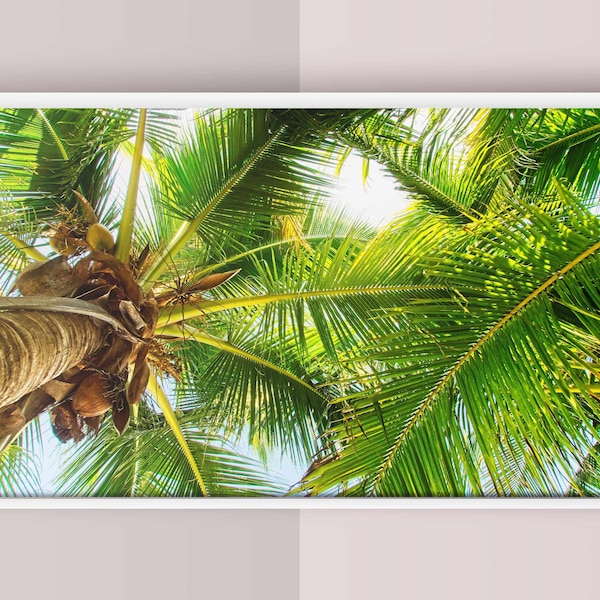 Frame TV Art - Tropical Beach Artwork - Original Art - Downloadable Photo - Image Features Sunshine Streaming Through Palm Trees