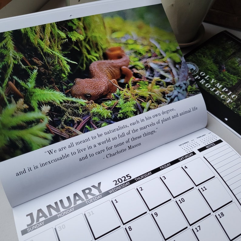 Olympic Project Bigfoot Research Calendar 2025 Sasquatch free Shipping