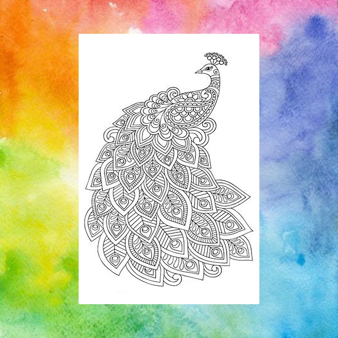 Peacock Bird Coloring Page A4 Download - Il 1080xN.4723144219 Evhi 