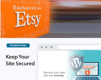 Wordpress Plugin To Monitor Your Sites SSL Security