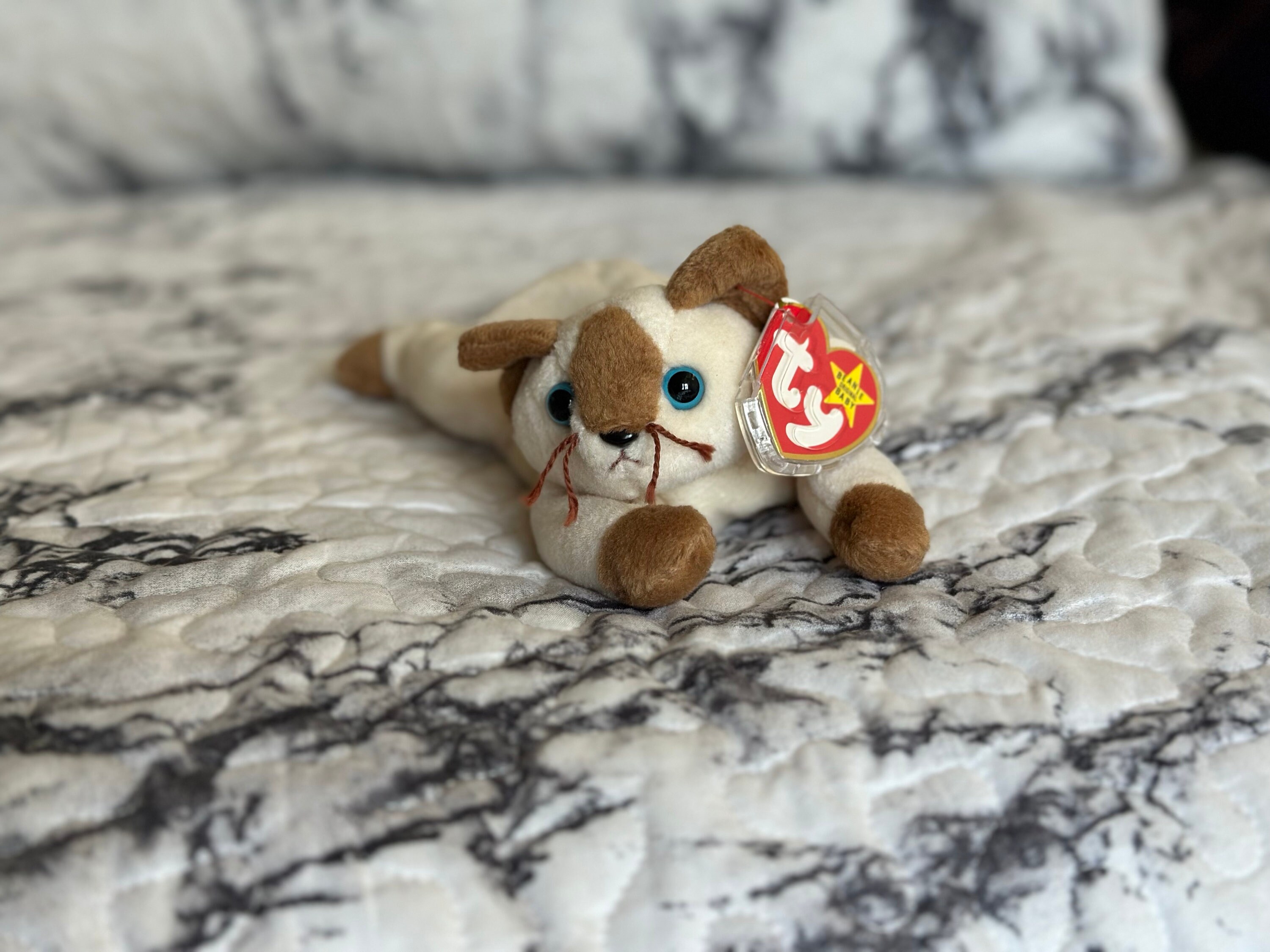 Snip the Cat rare TY Beanie Baby Errors Etsy