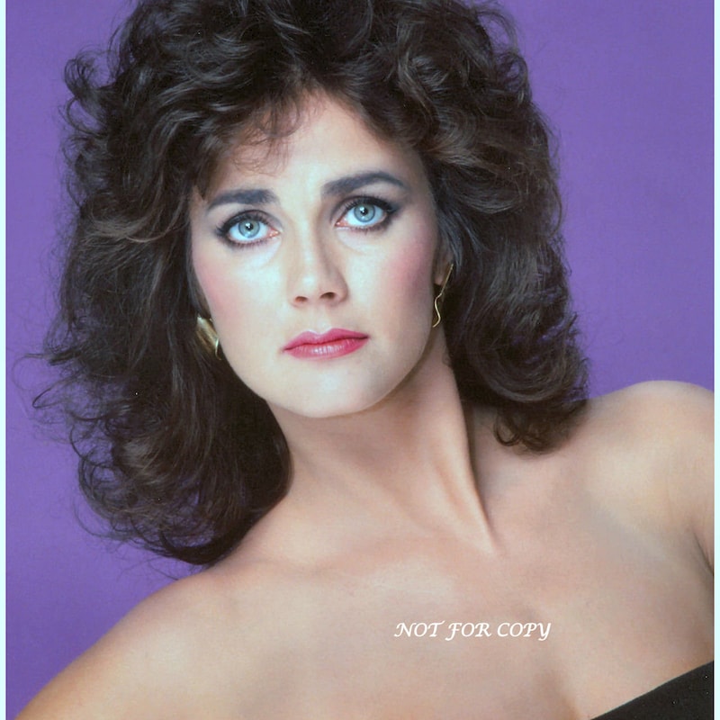 Lynda Carter Topless - Etsy