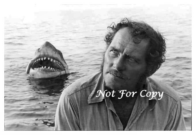Jaws 8x10 Press Photo the Movie Jaws Great White Shark Movie Legend