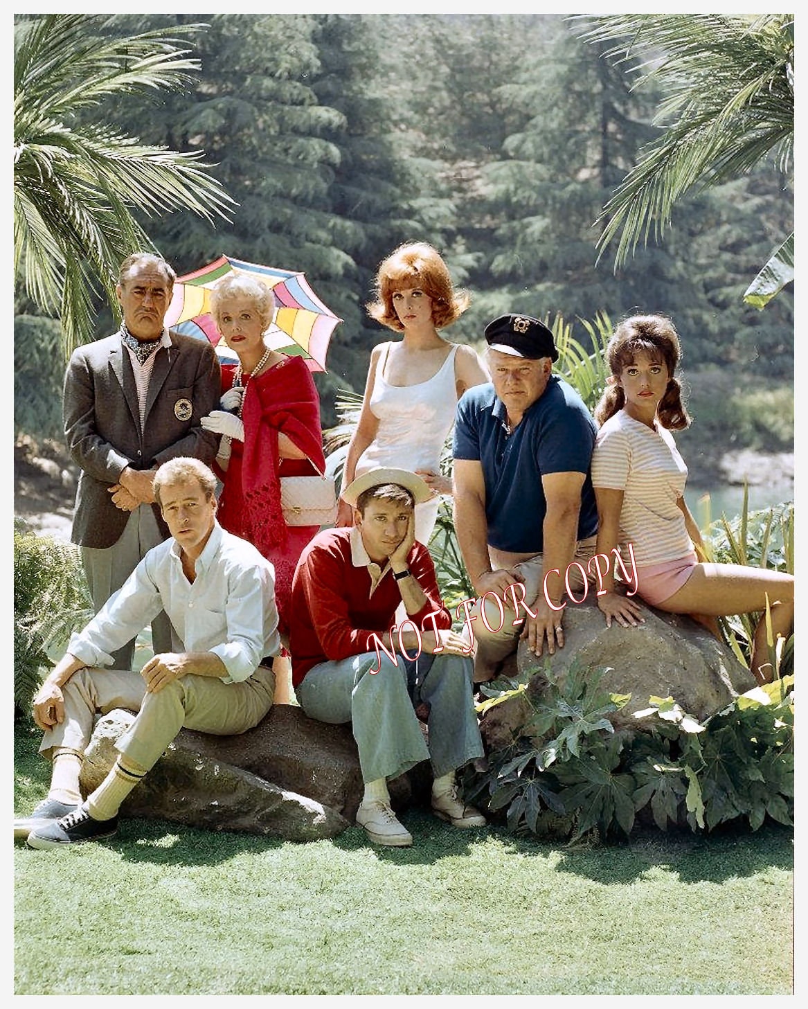 Gilligans Island Cast 8x10 Photo Rare Find WTN Classic TV the - Etsy