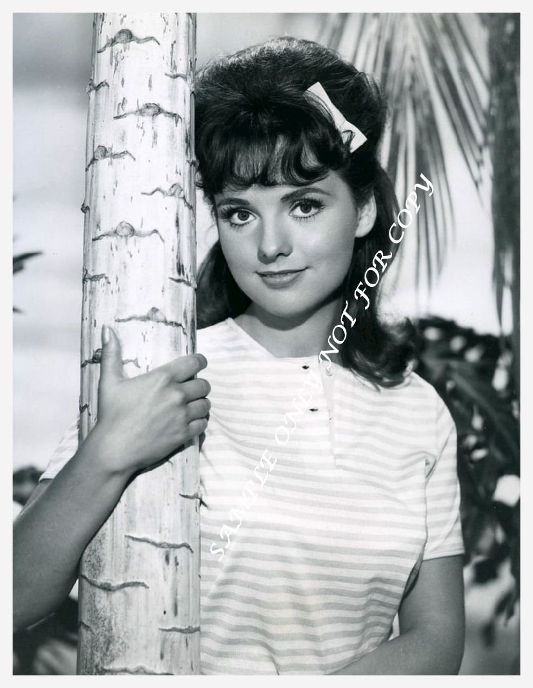 Dawn Wells Gilligan's Island Classic TV 8X10 Color Photo - Etsy