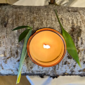 Pu&ograve; includere: Una candela accesa in un barattolo di vetro trasparente con un bordo marrone, appoggiata su un pezzo di corteccia d'albero con foglie verdi.