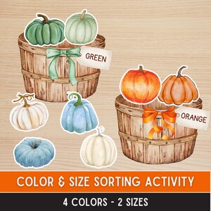 May include: A watercolour illustration for a colour and size sorting activity. Two wooden baskets hold green and orange pumpkins. Additional pumpkins are white and blue. The text reads "COLOR & SIZE SORTING ACTIVITY" and "4 COLORS - 2 SIZES."
