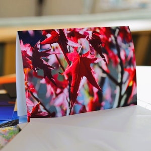 Carte de vœux feuilles d’automne, vierge à l’intérieur | Carte de vœux vierge | Carte de vœux nature | Feuille d’Acer | Feuille d’érable | Feuille | Taille A5