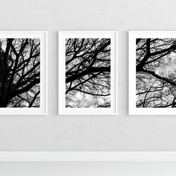 Set of 3 prints, black and white photography set, black and white photography download, tree photography print, tree branches wall art