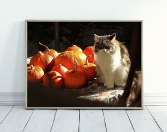 Cat and pumpkin, grumpy cat printable, cat printable wall art, wall art digital download printable, photography download, funny cat photos