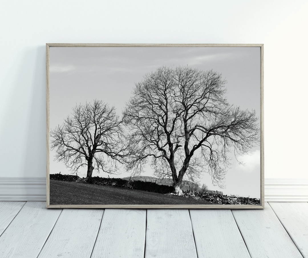 Black and White Tree Print, Two Trees Photography Print, Minimalist