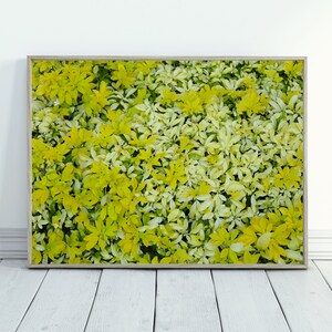 Green leaves prints, leaves printable wall art, leaves digital art print, wallpaper download, leaf photography, autumn, photography download