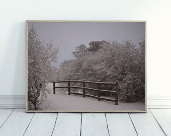 Impressions de photographie d'hiver, téléchargement numérique d'art mural imprimable, téléchargement de photographie, arbres de la forêt d'hiver, impression de paysage, paysage d'hiver