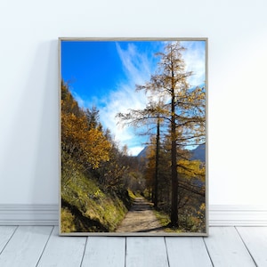 Foto dell&#39;albero per l&#39;arredamento della parete, download di arte della parete di stampe digitali, arte della parete stampabile, arte della parete della natura, download di fotografia, fotografia dell&#39;albero