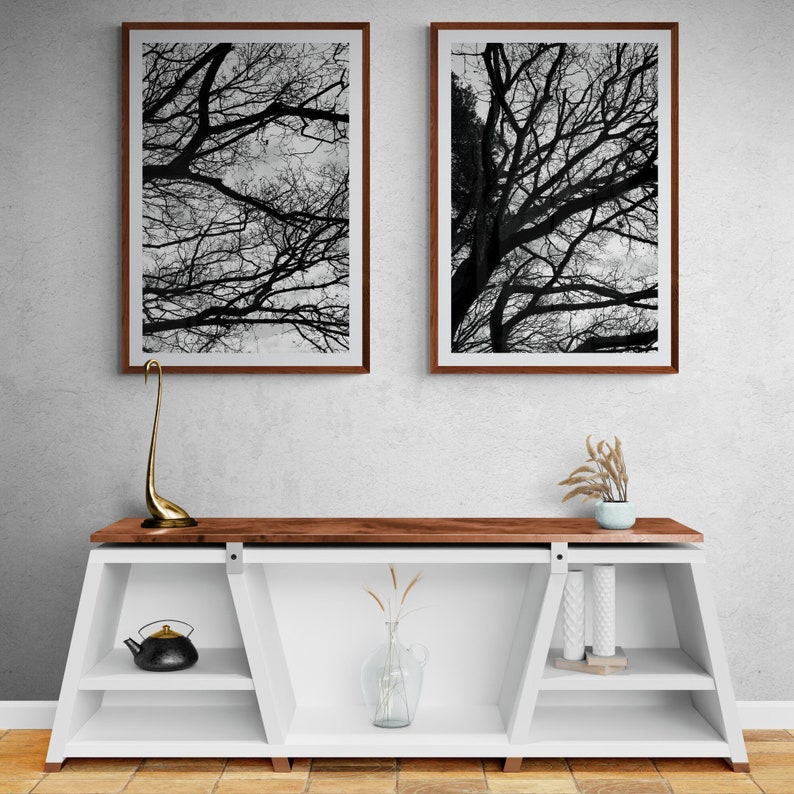 Black and White Photography Set, Black and White Photography Download