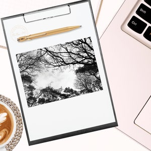 Printed photo card of monochrome tree branches | black & white printed photo card | British sky photo card | UK photo card | 7" x 5" | 7x5