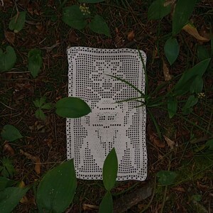 May include: A rectangular white crochet doily featuring a detailed, centered insect motif created with an openwork grid pattern. The piece has a straight, finished border and is crafted from fine white thread, showcasing a symmetrical beetle design.