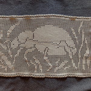 Carabus Cancellatus Beetle Filet Crochet Doily - PDF Pattern