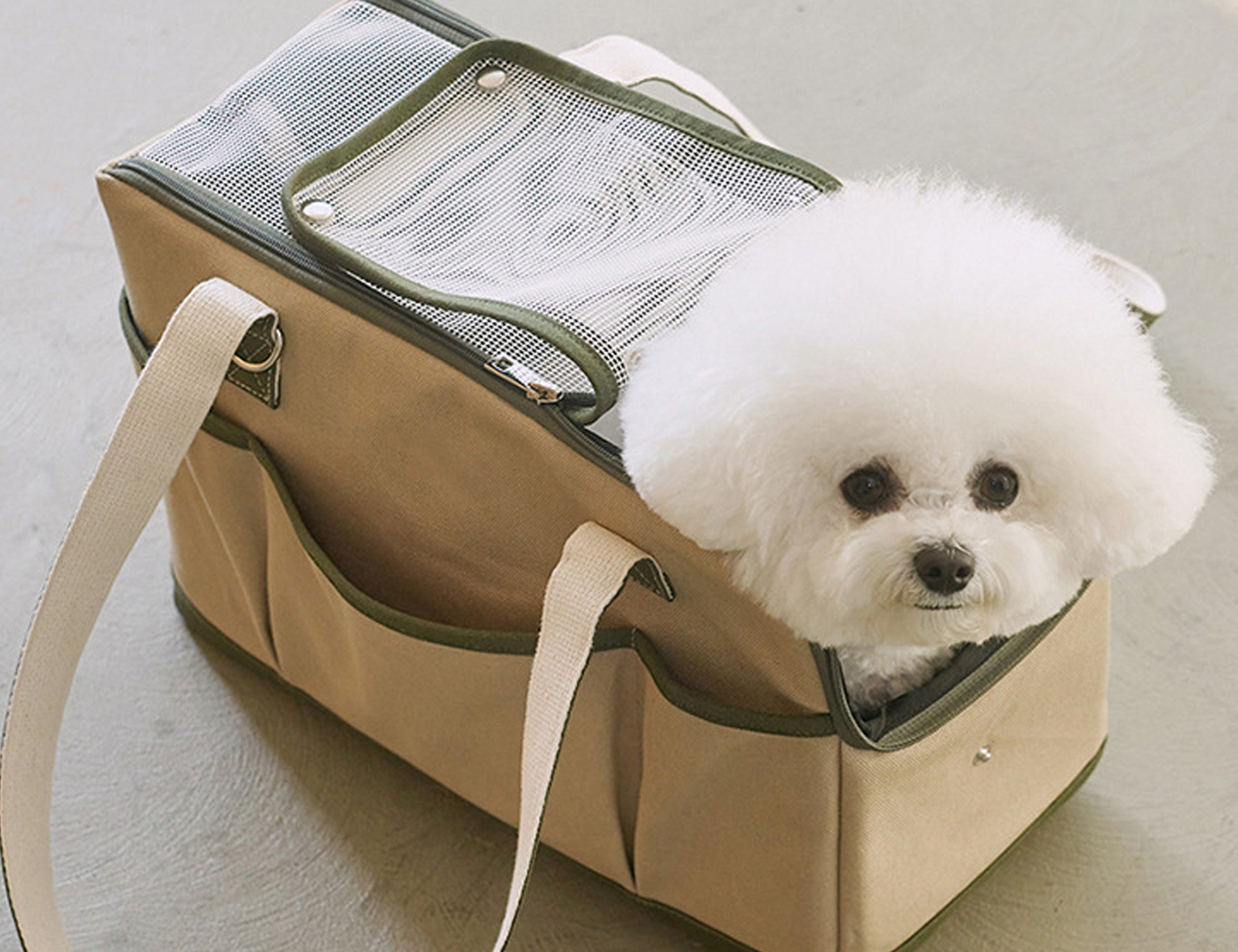 Pet Carrier Backpack Travel Bag
