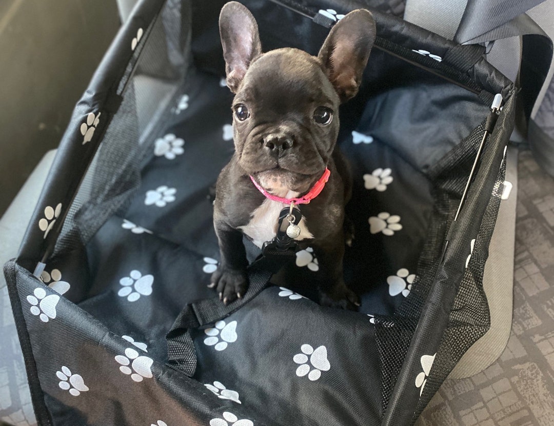 Dog Car Protector Back Seat Saver Dog Car Seat Seat Bag for Etsy