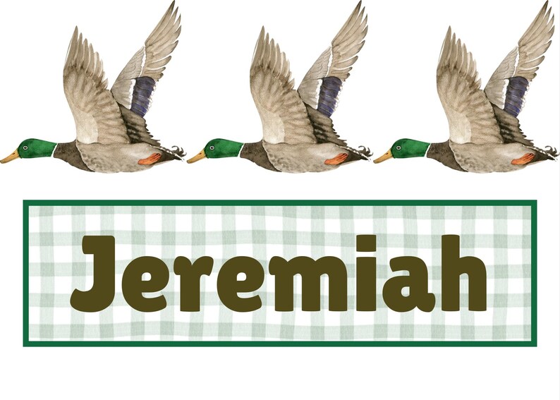 May include: Watercolor illustration featuring three flying ducks with outstretched wings. The ducks have green heads, brown bodies, and gray wings. Below, a green and white plaid banner displays the name "Jeremiah" in brown letters.