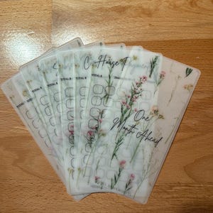 One Month Ahead Savings Challenge, Low Income Savings, Money Challenge, Monthly Bills, Laminated Savings Challenge Trackers