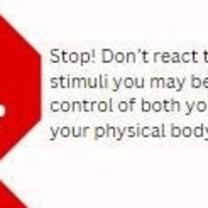 以下が含まれることがあります： 白い文字で「STOP」と書いてある赤い八角形の停止標識。白い文字で「S」が「STOP」の上に書かれている。標識の下の文章は「止まれ！目の前の刺激に反応しないでください。感情と肉体をコントロールし、静止してください。」です。