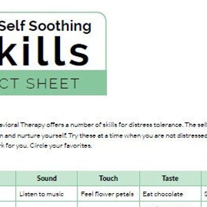 DBT self soothing and coping skills work sheet