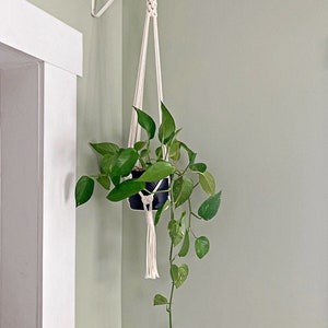 May include: A white macrame plant hanger with a green potted plant hanging from it. The hanger is attached to a white wall.