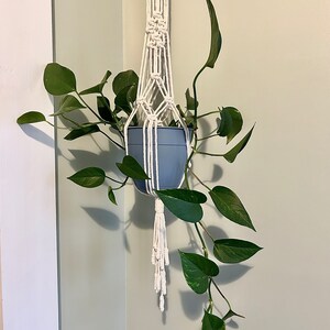 May include: A white macrame plant hanger with a blue pot and a green plant hanging from it.
