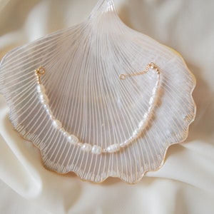 May include: A delicate pearl bracelet with a gold chain clasp, displayed on a white seashell. The bracelet features a row of white pearls.