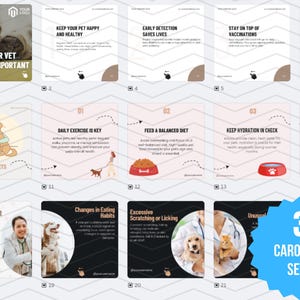 81 x Social Media Templates WITH REAL CONTENT + HASHTAGS for Charities | Instagram Posts and Carousel Template Designs for Vet Clinics