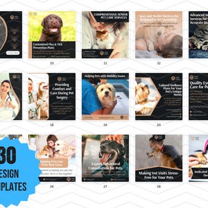 81 x Social Media Templates WITH REAL CONTENT + HASHTAGS for Charities | Instagram Posts and Carousel Template Designs for Vet Clinics
