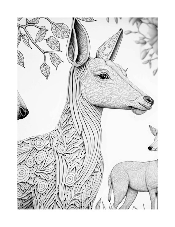 ZEN ANIMALS: Adult and Teen Coloring Book Animal Theme Coloring Books Zen  Design Coloring Book Junglye Animal Coloring Book 