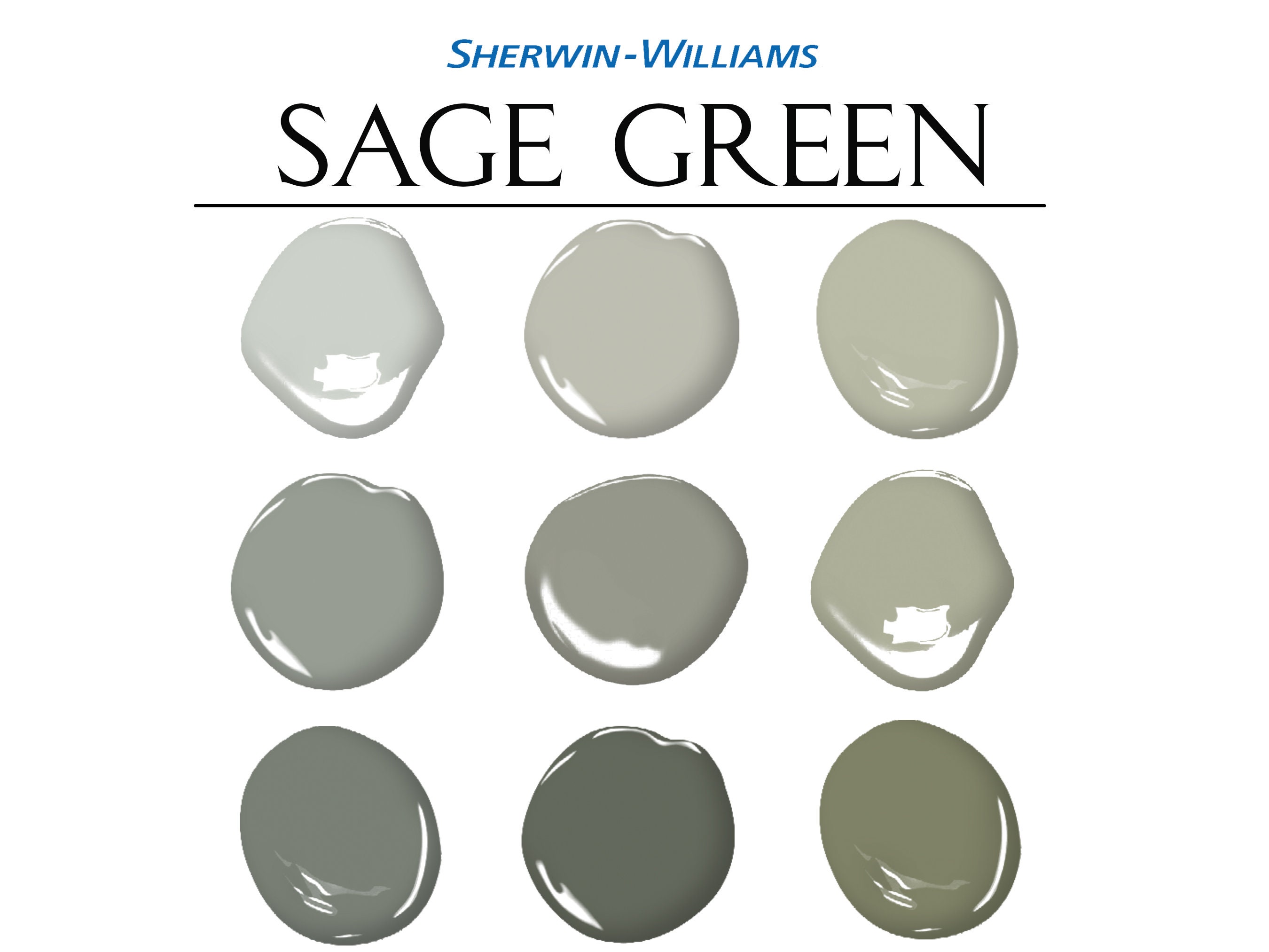 Sage Green Paint Palette, Sherwin Williams, Whole House Paint Colors, Sage  Green Color Scheme, Sage Green Wall, Sage Green Room, Sage Home 